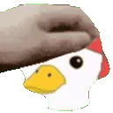 AaronDuck