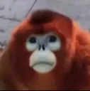 emoji_1 emoji_1