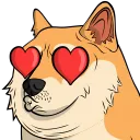 dogelove