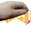 petMedal