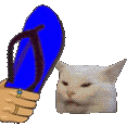 catchancla Discord Emoji
