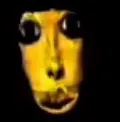 bruhface bruhface