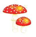 shroom_2