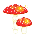 shroom_2