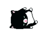 blackcat