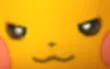 daisy_stare_pkmd