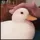 happyduck