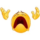 cryidiotcry