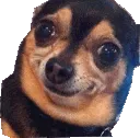 EmmaExcuseYou