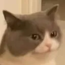 h_ h_
