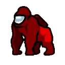 rainbowsus