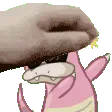 SlowPet