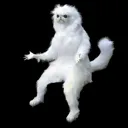 Wut Cat wutcat Discord Emoji