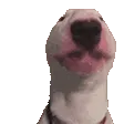 jWalterJam