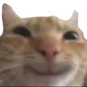 smilecat