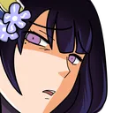 RaidenDisgust