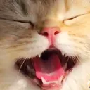 uwu