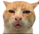 huh