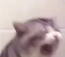 SCREAM
