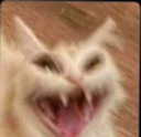 emoji_47 Discord Emoji - Fire Zone