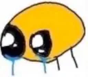 cry