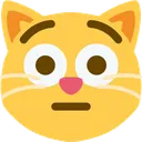 cat_flushed cat_flushed