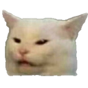 catwhat Discord emoji