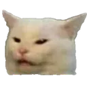 Catwhat catwhat Discord Emoji