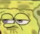 SPONGEW SPONGEW