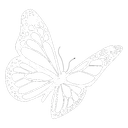 whitebutterfly