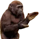 clapbala