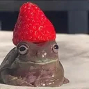cutefrog
