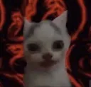 qoraes2