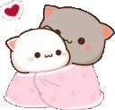 cuddlecat