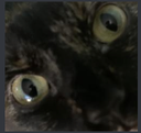 iusedarkmode Discord emoji