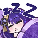 RaidenSleep