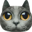 meow