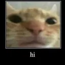 hi