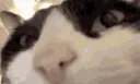 iseeyourightthereyesweseeyouou