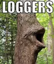 loggers