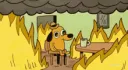 thisisfine