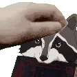 1KarlPat 1KarlPat