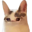 bgrSad