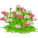 wflowers