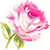 tflower