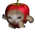 AppleCatRun