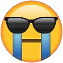 sunglasses_cry