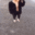 d_monkey