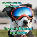 xn_roarkadoggy Discord emoji