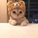 Kat